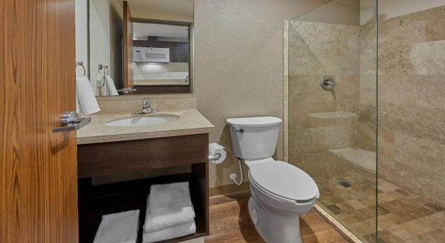 Четырёхместный люкс Extended Suites Saltillo Galerías
