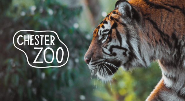 Lion House Chester - Very Near Zoo Ideal for City - Sleeps Up to 7