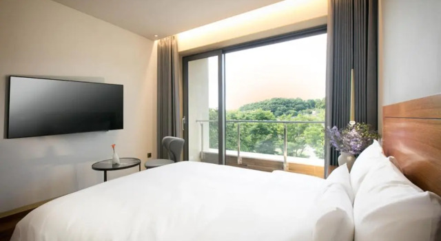 Двухместный номер Deluxe с балконом Daon Hotel