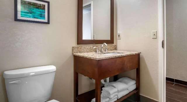 Номер Standard Comfort Suites Tallahassee Capitol - University Area