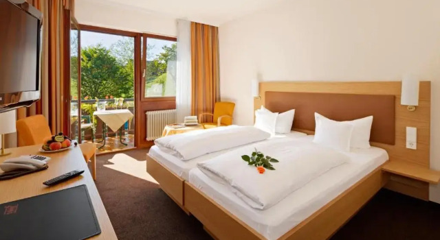 Номер Standard Hotel 3 Könige
