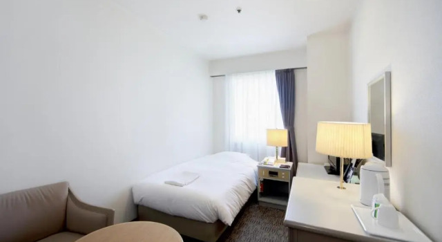 Одноместный номер Asahikawa Toyo Hotel