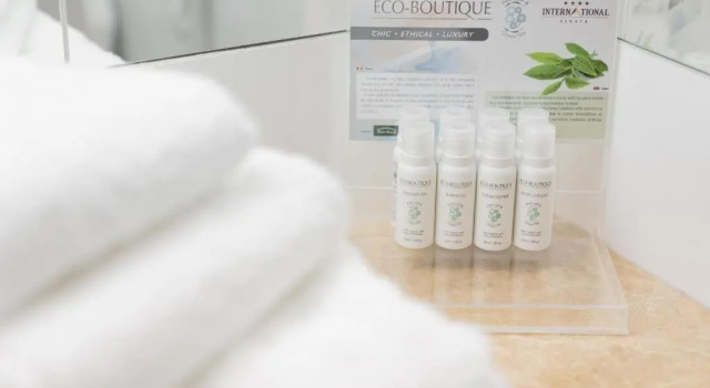 Двухместный номер Deluxe с балконом Hotel International