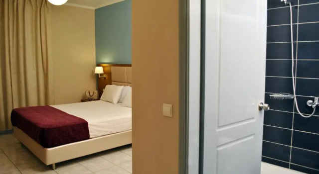 Двухместный номер Standard Hotel Plessas Palace