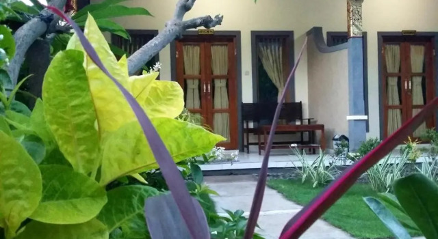 Komang Homestay, Rezervovat Hotel Hotely v Bali se snídaní, Snídaně