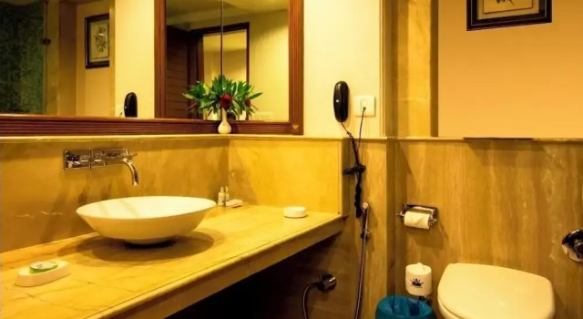 Семейный люкс c 1 комнатой Vikram Vintage Inn