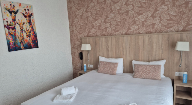 Номер Premium CitHôtel Le Quai 9