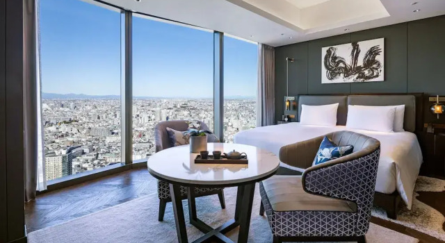 Двухместная студия BELLUSTAR TOKYO, A Pan Pacific Hotel
