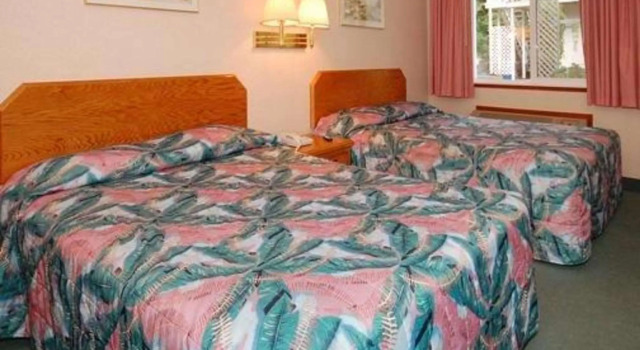 Четырёхместный номер Standard Capital O Stevenson Inn Riverside