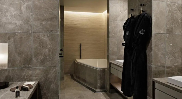 Двухместный номер Prime Superior AC Hotel by Marriott Tokyo Ginza