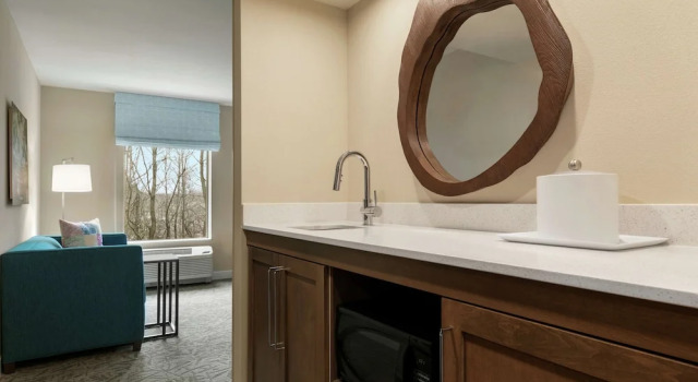 Двухместная студия Hampton Inn And Suites By Hilton Johns Creek
