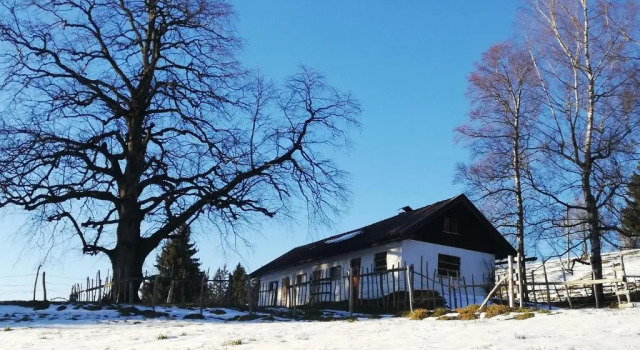 Апартаменты Appartement Alpblick