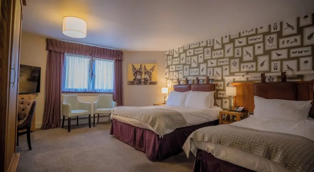 Двухместный семейный номер Standard с видом на сад Stonehouse Court Hotel - A Bespoke Hotel