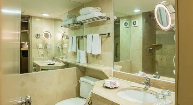 Двухместный номер Standard Holiday Inn Guadalajara Expo Plaza del Sol by IHG