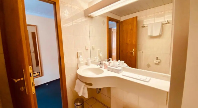 Одноместный номер Standard Stadthotel Waldhorn