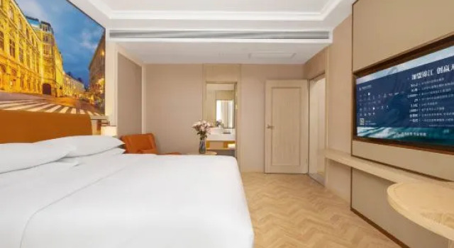 Люкс Standard Vienna Hotel