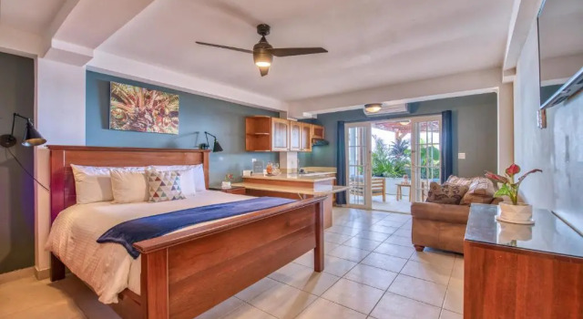 Люкс Цокольный этаж Tropical Suites Hotel