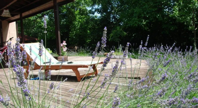 Коттедж Pensiunea Bamboo - Villa