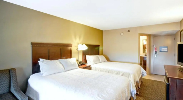 Четырёхместный номер Deluxe Hampton Inn College Station-Near Texas A&M University