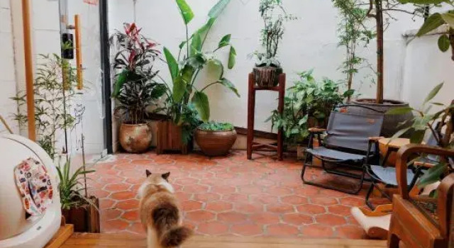 Liwu Homestay (Quanzhou Ancient City West Street), Book Hotel Quanzhou Fujian