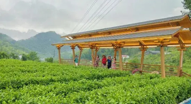 Zhuxi Tea Garden · Homestay, Reserva ahora Hotel Anqing Anhui