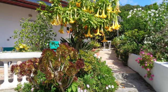 Коттедж Residence Limoneto Ischia
