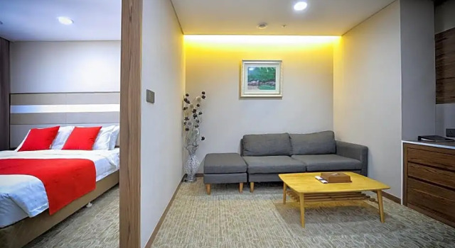 Люкс c 1 комнатой The Recenz Dongdaemun Hotel