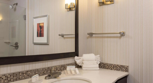 Двухместный номер Standard Hilton Garden Inn Louisville Downtown