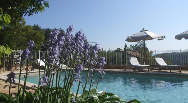 Апартаменты с 2 комнатами Vacanze Toscane In The Country