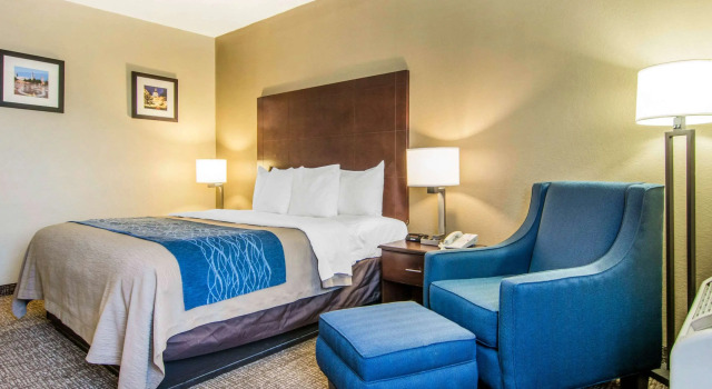 Двухместный номер Standard Comfort Inn Atlanta Downtown South