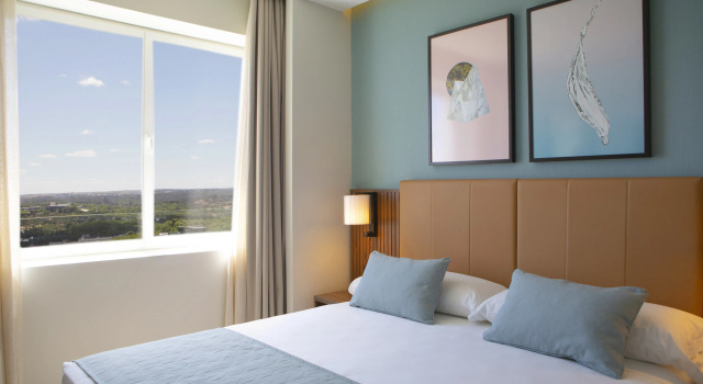 Отель Riu Plaza España