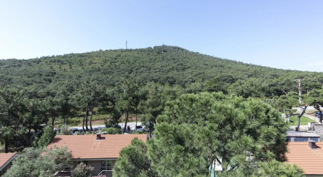 Одноместный номер Comfort с видом на сад D - Resort Ayvalık