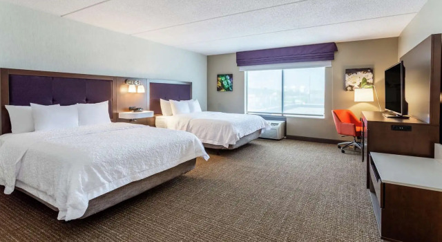 Четырёхместный номер Standard Hampton Inn & Suites Chicago - Libertyville