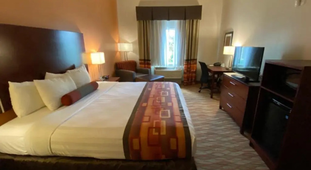 Standard- værelse Spring Inn & Suites