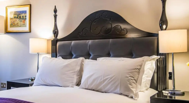 Двухместный номер Deluxe Francis Hotel Bath