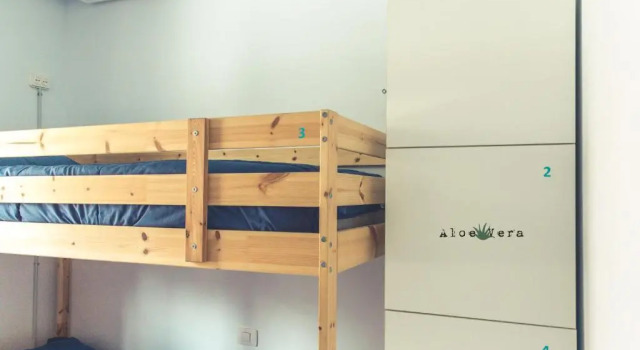 Номер Standard Aloe Vera Shared House