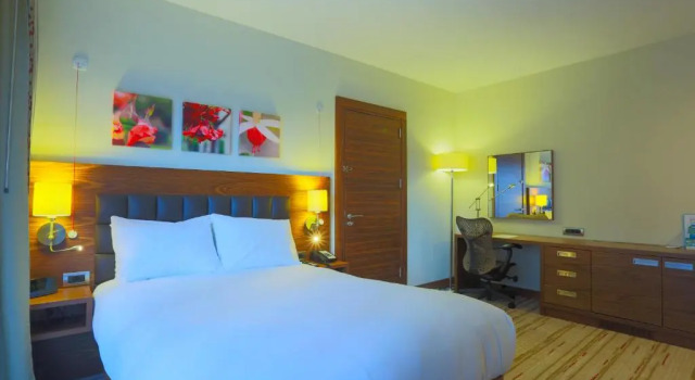 Двухместный номер для людей с ограниченными возможностями Hilton Garden Inn Eskisehir