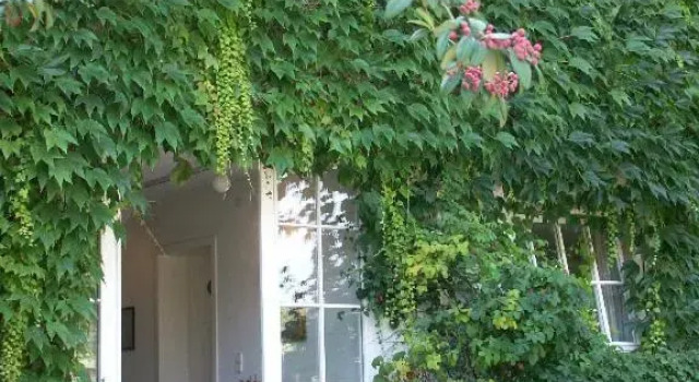 Двухместный номер Standard Landhaus Ettenbühl Bed and Breakfast