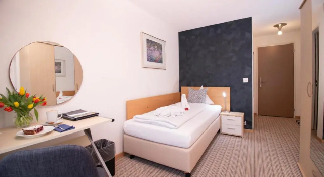 Одноместный номер Standard Park - Hotel Inseli