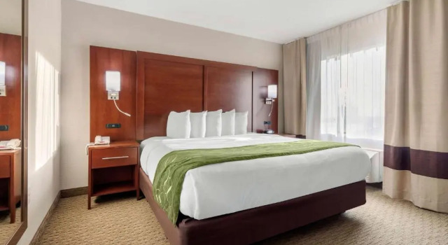 Номер Standard Comfort Suites Omaha East-Council Bluffs
