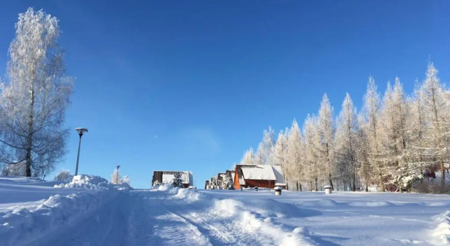 Шале Czocha Palace&Czocha Camping - OR Czocha