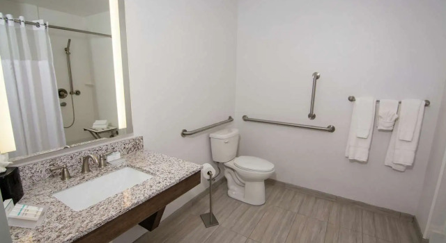 Люкс Hilton Garden Inn Tampa Suncoast Parkway