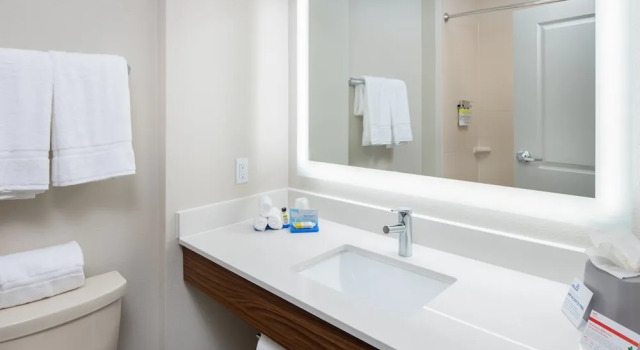 Люкс c 1 комнатой Holiday Inn Express Hotel & Suites Dallas South - DeSoto by IHG