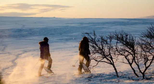 Hotel Valle Lapland, Book Hotel Hotels in Utsjoki with Breakfast, Breakfasts