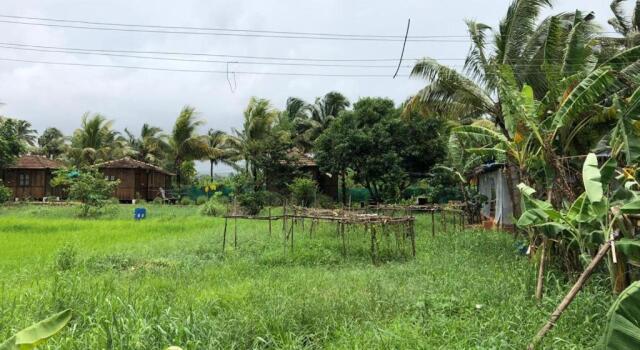 Тент Saligao farm cottage