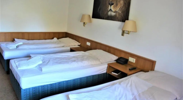 Трёхместный номер Comfort Hotel Alsterquelle 24h Check-in, Free Parking and WiFi