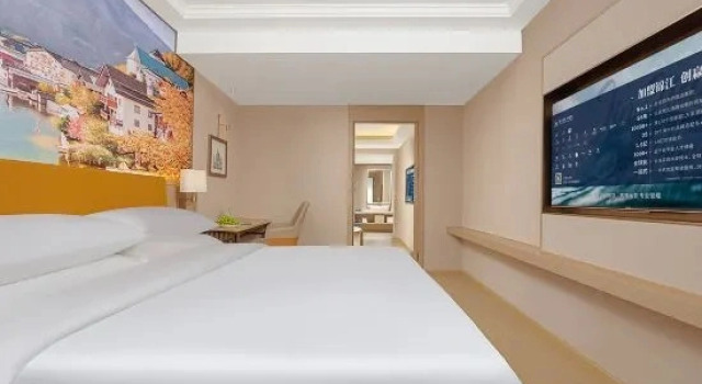 Люкс Vienna Hotel