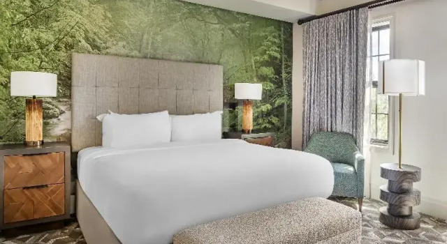 Номер Standard Hilton Vacation Club Mill Springs Lodge Pigeon Forge