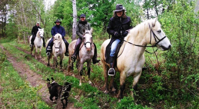 Ranch Terra, Book Guesthouse Rakovica Karlovac county