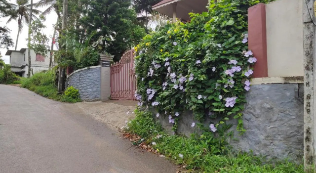 Двухместный номер Economy с балконом и с красивым видом из окна Ferndale Homestay